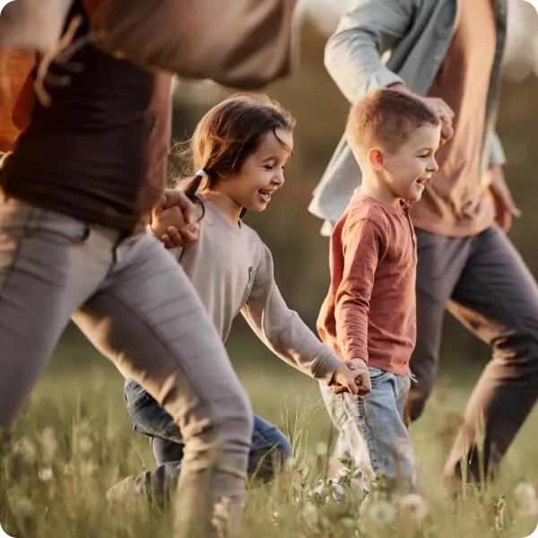 Whole of Life Image 1